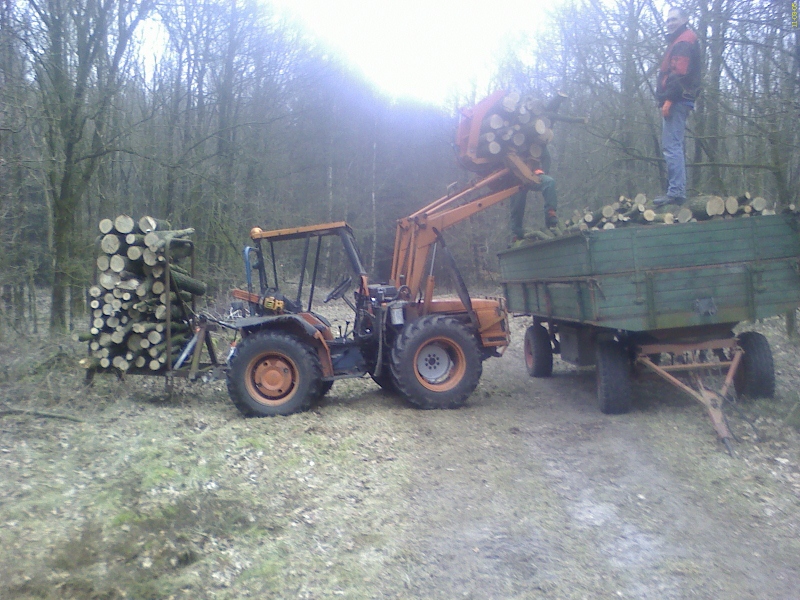 DC110305001 (800x600).jpg