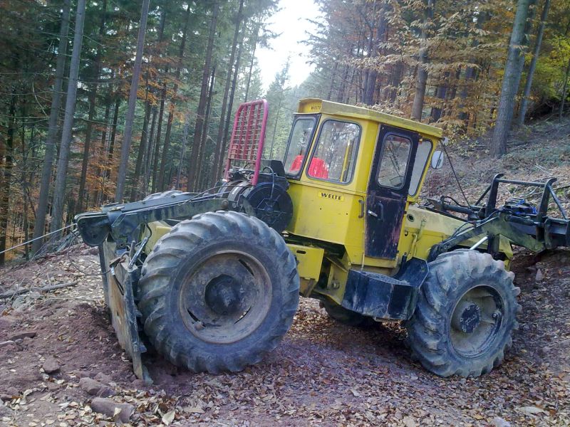 Brennholz (5).jpg