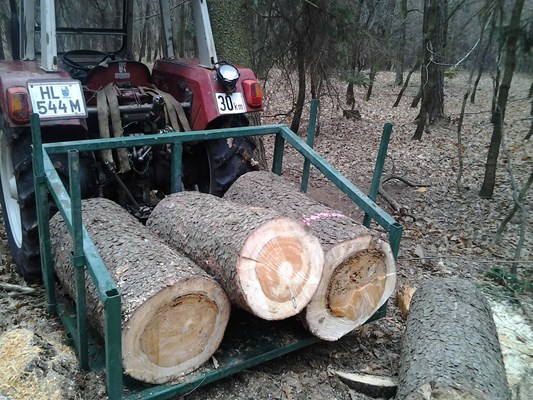 2012-04-07 14.54.56.jpg