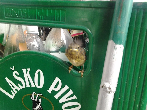 2014-05-12 18.44.24.jpg