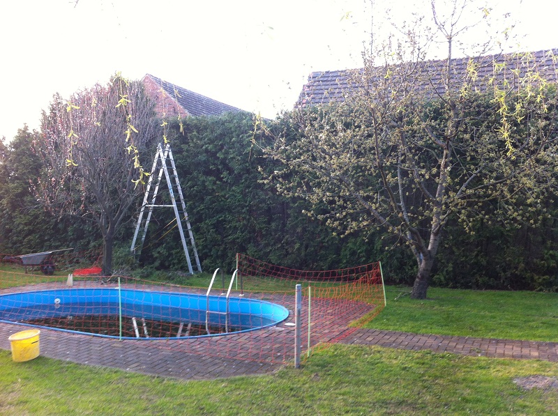 3009Hecke1.jpg