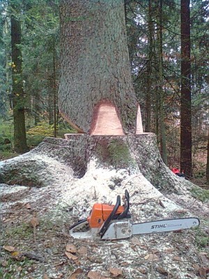 Bild1074.jpg
