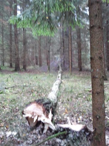 2012-11-17 13.47.22.jpg