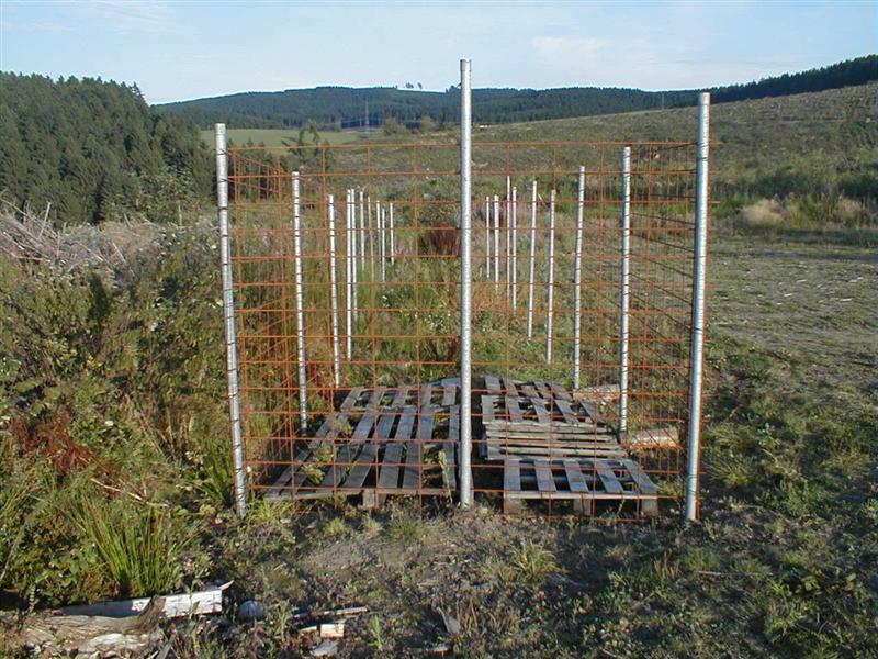 P9070009 (Medium).JPG