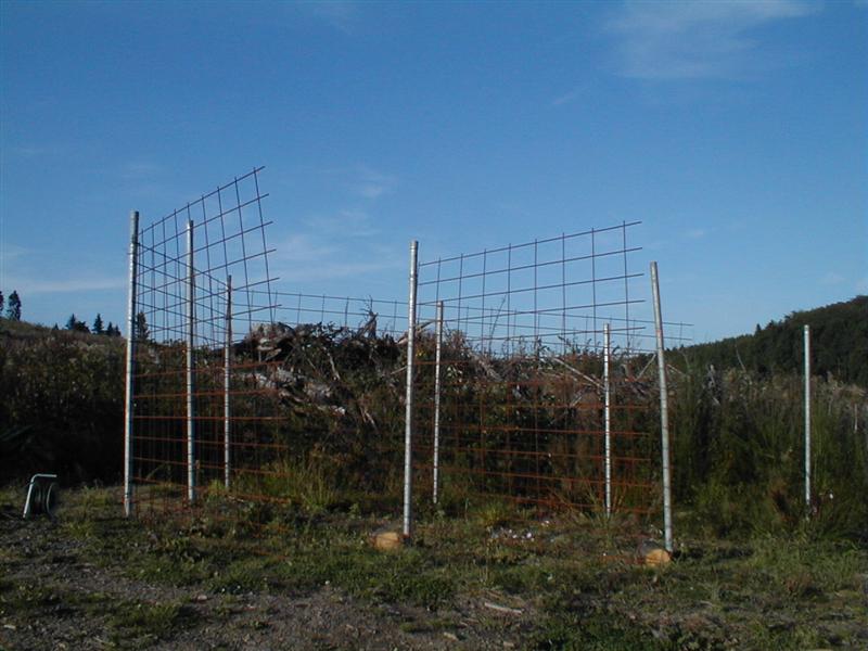 P9070005 (Medium).JPG