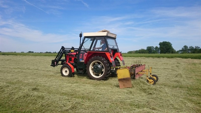 DSC_2399 (Mittel).JPG