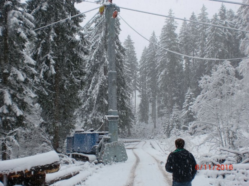 CIMG2166 (1280x960).jpg