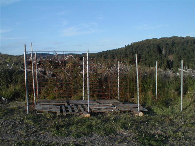 P9070011 (Medium).JPG