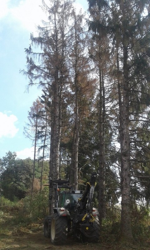 20180815_105355 klein.jpg