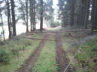 2013-12-14 13.01.13.jpg