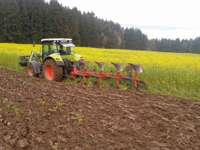 2012-11-10 15.10.23 (640x480).jpg