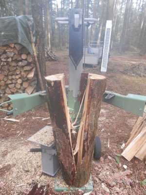 Spalten Jan. 14 (7).JPG