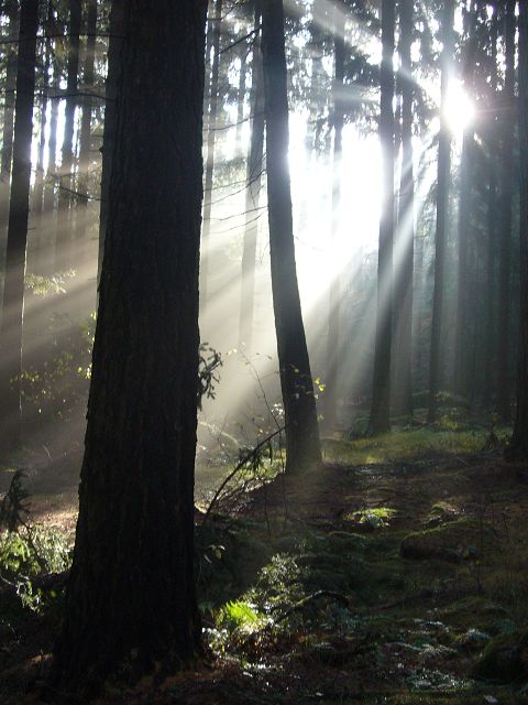 k-P1020740.JPG