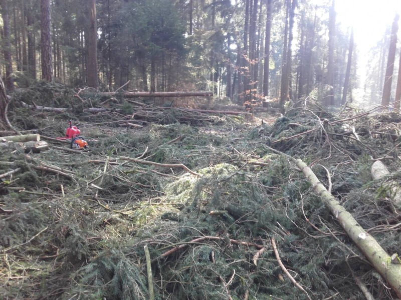 20170325 Rg Staat 1.jpg