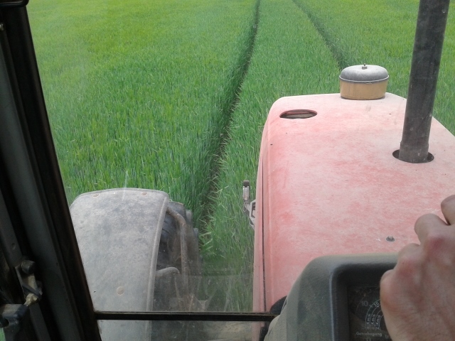 2015-05-15 15.00.13 (640x480).jpg