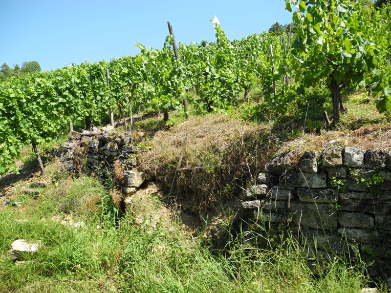 DSCN0410 - Kopie.jpg