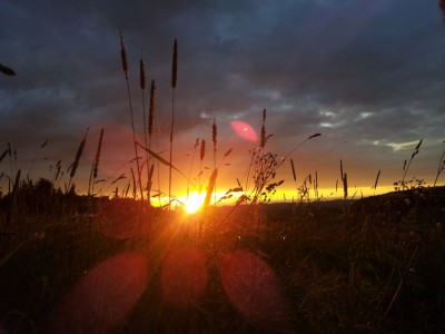 20130704_212002.jpg