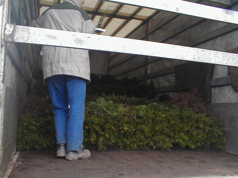 Bild 002 (Medium).jpg