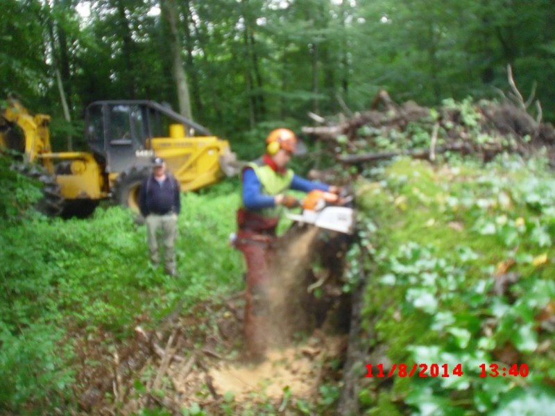 Anschnitt bad quali.jpg