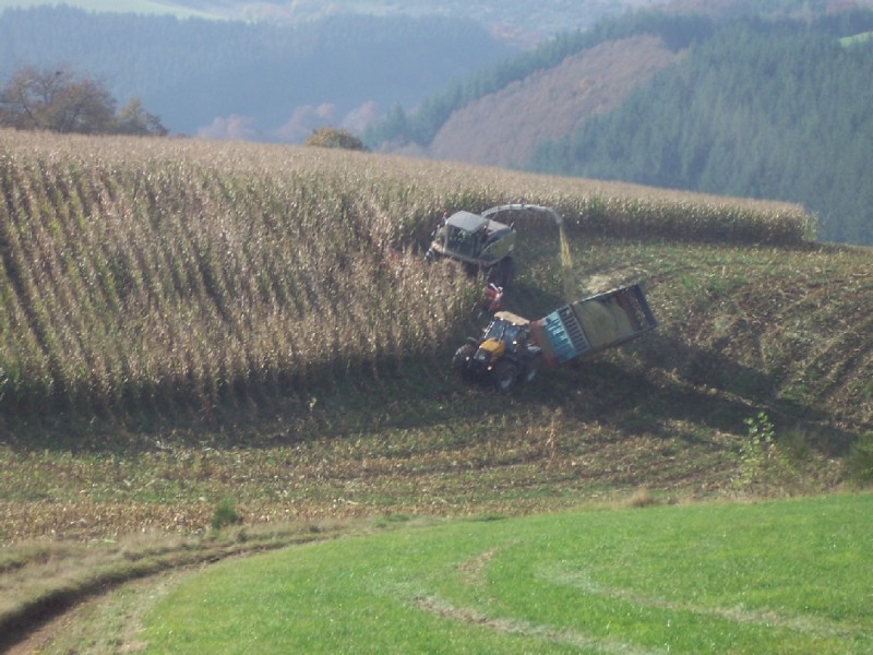 Wagenfall verkleinert.jpg