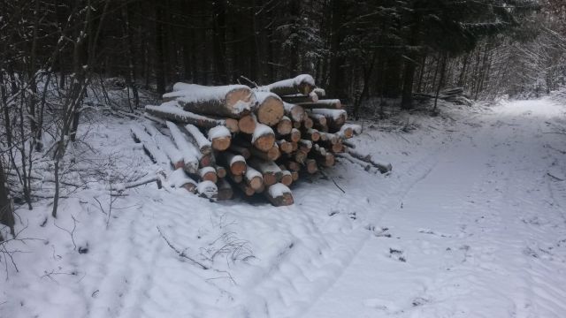 Eindrücke 17.01 (1).jpg