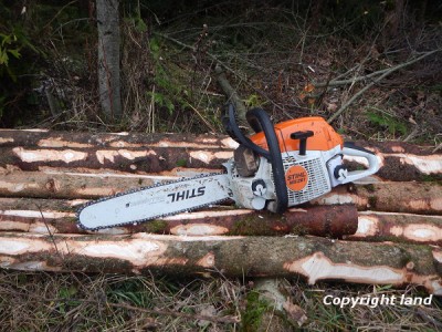 Stihl 261mit gedrehtem Schwert.jpg