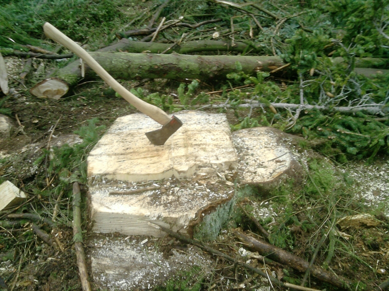 P130912_18.07_klein.jpg