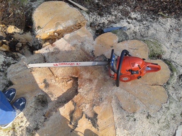 2012-03-22 15.33.39 (640x480).jpg