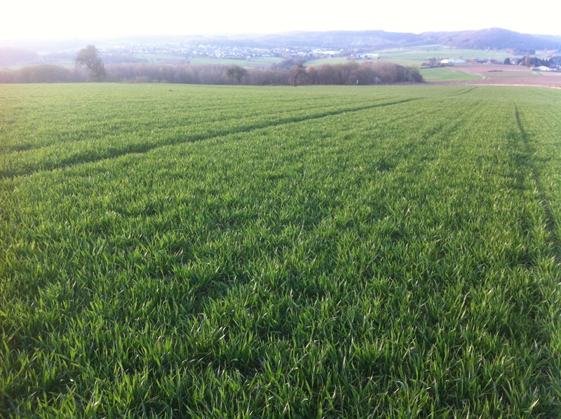 Ausflug Samstag 027.JPG