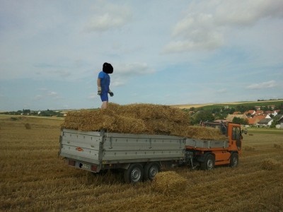 2012-08-02 10.15.51.jpg