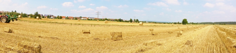 20140727_142631 (800x181).jpg