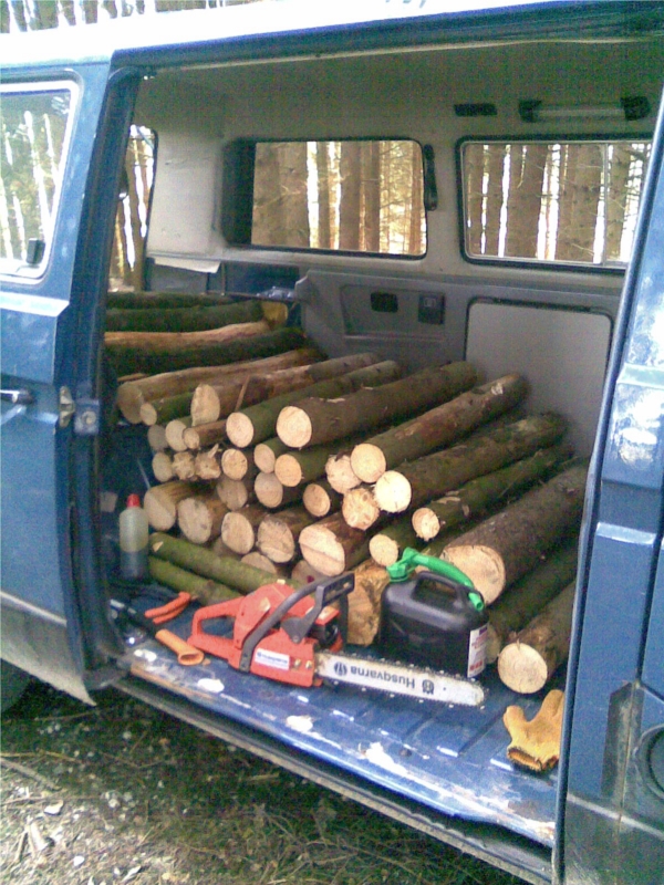 Wald.jpg