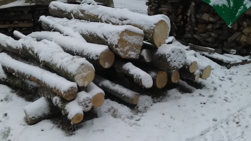 Freitag 30.12.16 (1).jpg