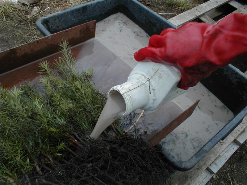 Bild 023 (Medium).jpg