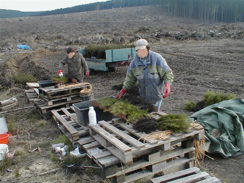 Bild 027 (Medium).jpg