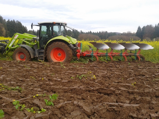 2012-11-10 15.10.43 (640x480).jpg