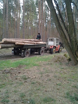 2015-04-17 17.01.39.jpg