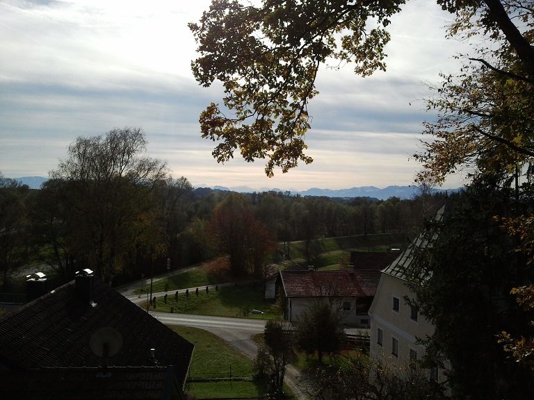 2012-11-03 11.39.02.jpg