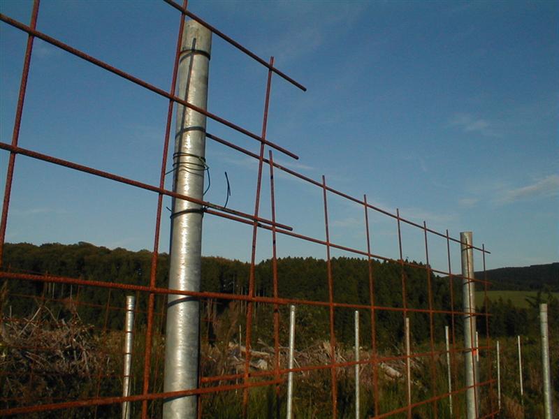 P9070010 (Medium).JPG