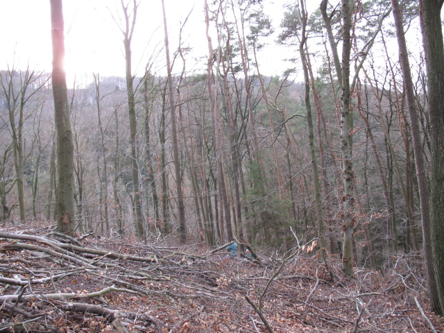 Dezember II 012k.jpg