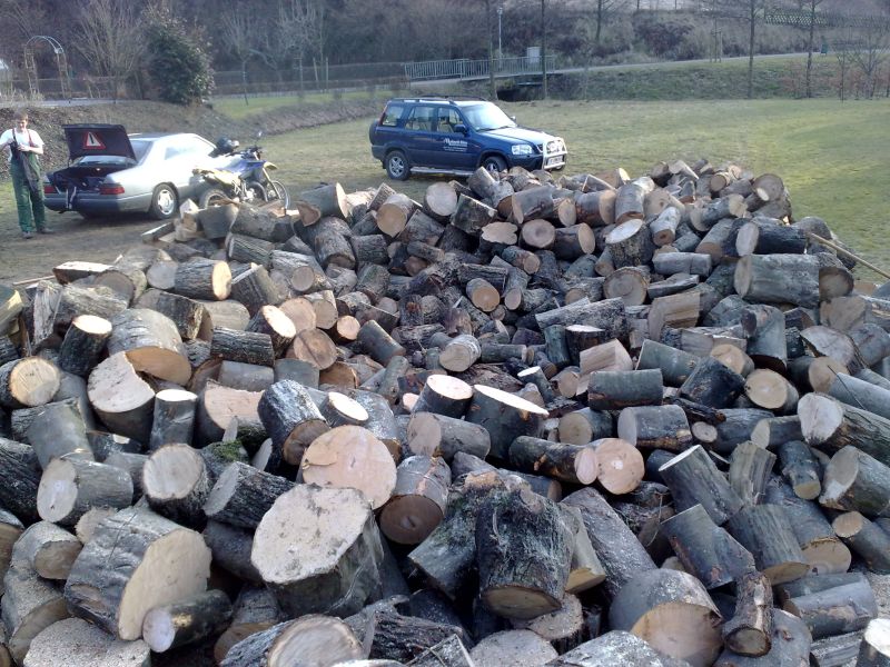 08Werk von 2 Mann 1 Tag schneiden.jpg