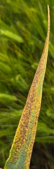 Resizer_17809514259971.jpg