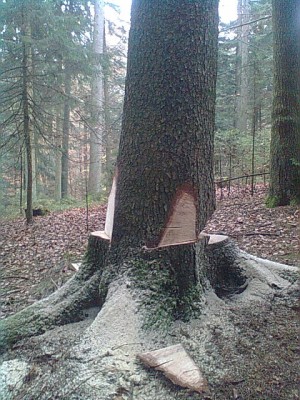 Bild1071.jpg
