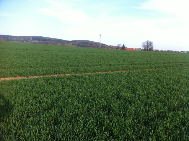 Ausflug Samstag 007.JPG