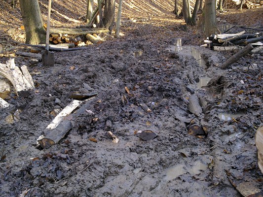 28112011087 (Kopie).jpg