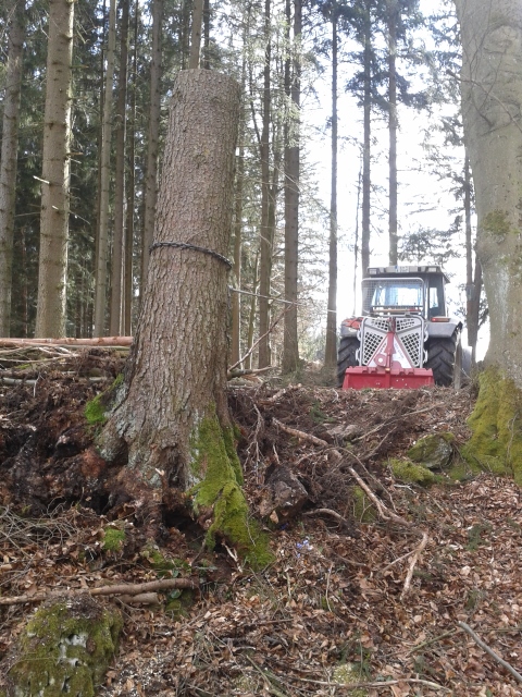 2015-04-04 15.16.52 (480x640).jpg