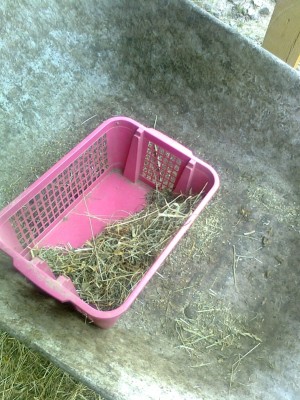 Siebgeschirr ;-).jpg