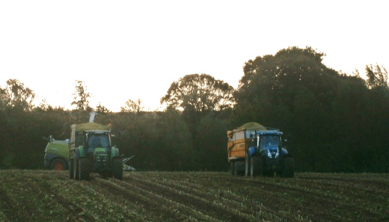 Agrotron K & NH T 7040.jpg