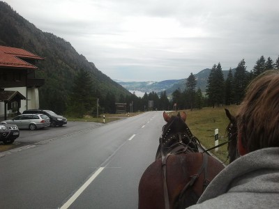 2013-10-04 11.35.33.jpg