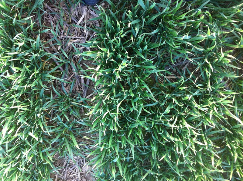 Ausflug Samstag 021.JPG